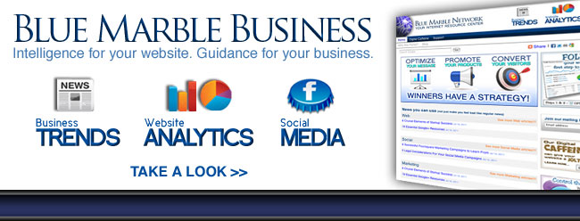 Blue Marble Business. Intelligence for your website. Guidance for your business.